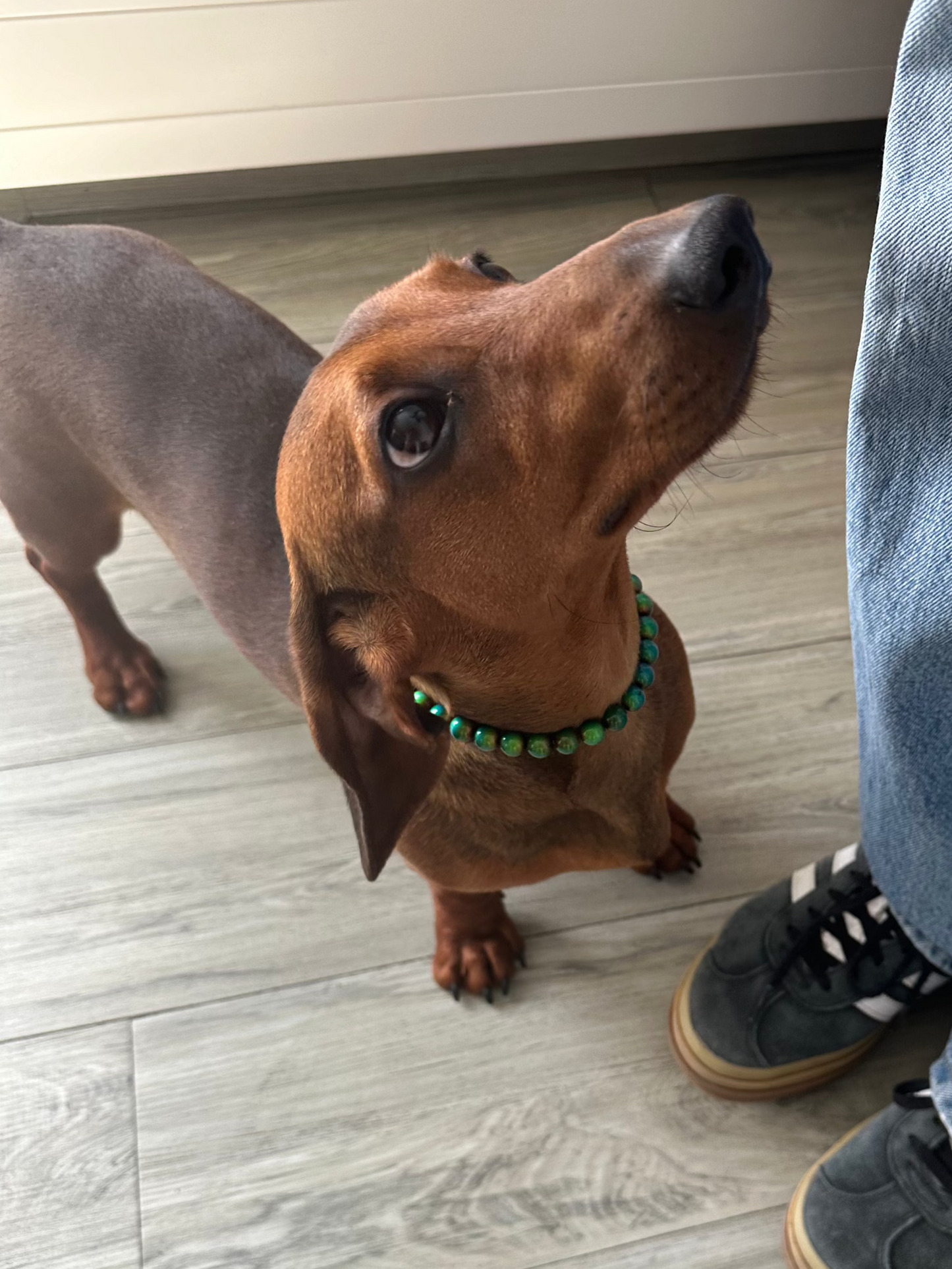 MOOD DOG NECKLACE